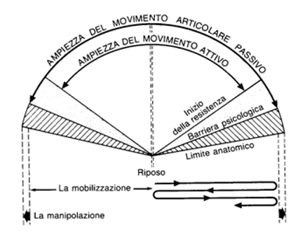 Medicina Manuale Chiropratica